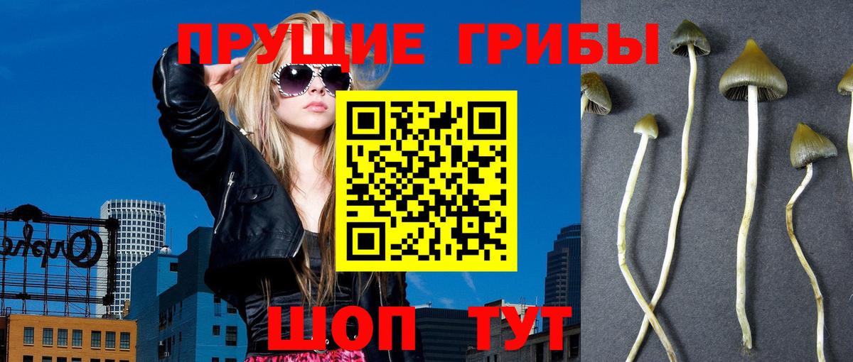 Псилоцибиновые грибы ЛСД Волгоград
