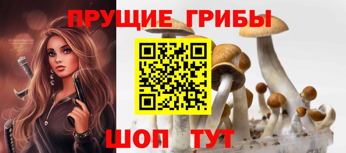 Волгоград  Галлюциногенные грибы GOLDEN TEACHER  Вход с VPN 