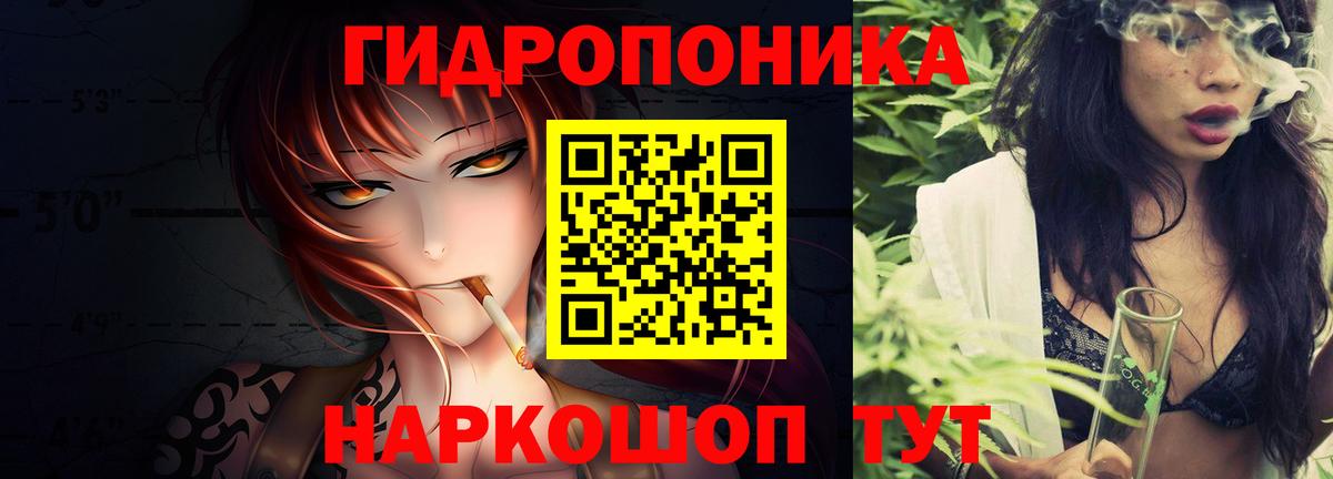 Шишки марихуана VHQ  Канабис AK-47  Вход с VPN  Шишки марихуана AK-47  Волгоград  Бошки марихуана THC 21% 